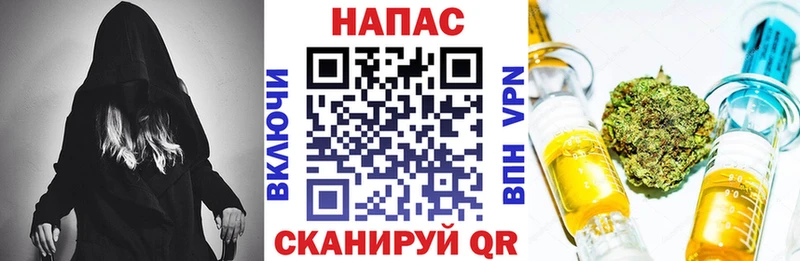 Магазины продажи наркотиков Каргополь Бошки Шишки  Галлюциногенные грибы  Гашиш 