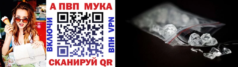 A PVP СК КРИС Каргополь