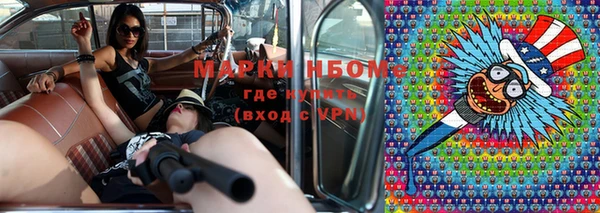 гидра Алексин