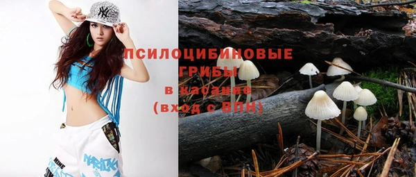 spice Абинск