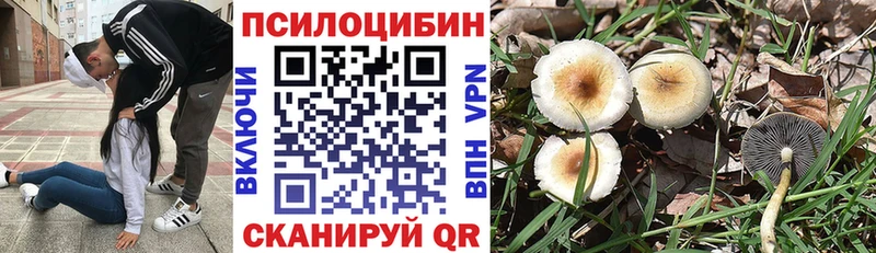 omg как войти  Каргополь  Галлюциногенные грибы Psilocybe  где можно купить наркотик 